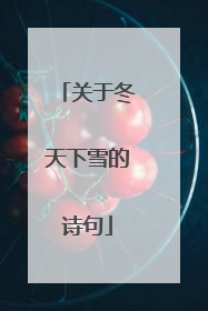 关于冬天下雪的诗句