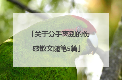 关于分手离别的伤感散文随笔5篇