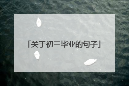 关于初三毕业的句子