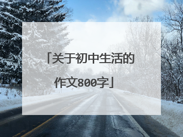 关于初中生活的作文800字