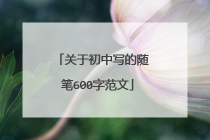 关于初中写的随笔600字范文
