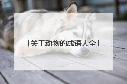 关于动物的成语大全