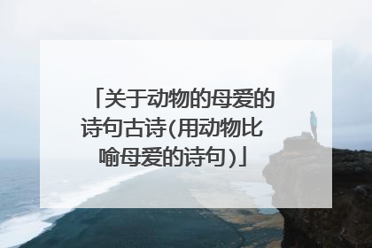关于动物的母爱的诗句古诗(用动物比喻母爱的诗句)