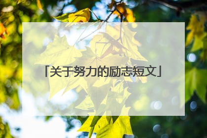 关于努力的励志短文