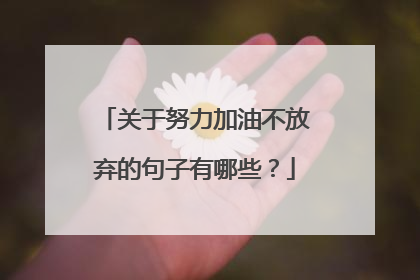 关于努力加油不放弃的句子有哪些？