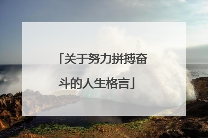 关于努力拼搏奋斗的人生格言