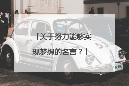 关于努力能够实现梦想的名言?
