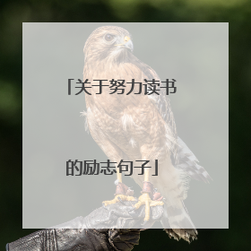 关于努力读书的励志句子