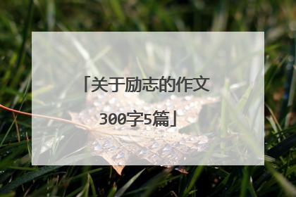 关于励志的作文300字5篇