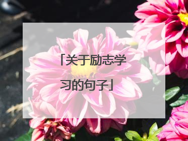 关于励志学习的句子
