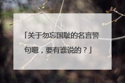 关于勿忘国耻的名言警句嗯,要有谁说的?