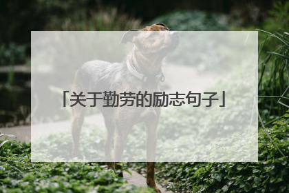 关于勤劳的励志句子