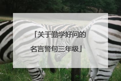 关于勤学好问的名言警句三年级