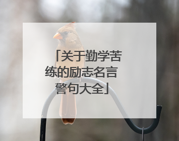 关于勤学苦练的励志名言警句大全