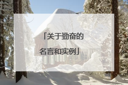 关于勤奋的名言和实例