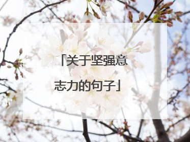 关于坚强意志力的句子