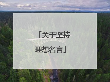 关于坚持理想名言