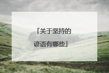 关于坚持的谚语有哪些