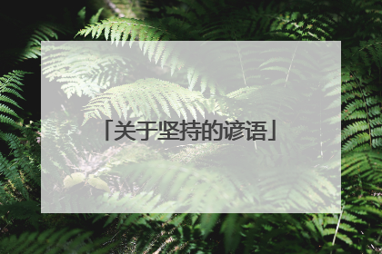 关于坚持的谚语