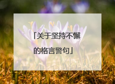 关于坚持不懈的格言警句