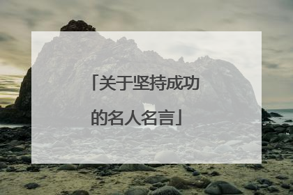 关于坚持成功的名人名言