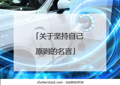 关于坚持自己原则的名言