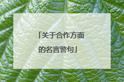 关于合作方面的名言警句