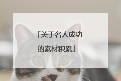 关于名人成功的素材积累