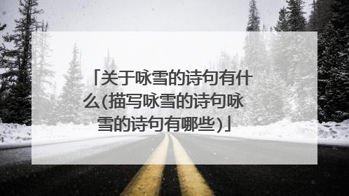 关于咏雪的诗句有什么(描写咏雪的诗句咏雪的诗句有哪些)