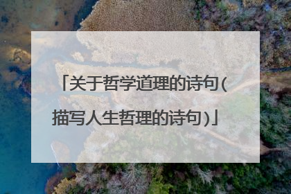 关于哲学道理的诗句(描写人生哲理的诗句)