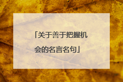 关于善于把握机会的名言名句