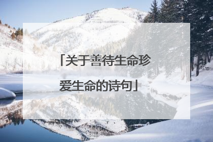 关于善待生命珍爱生命的诗句