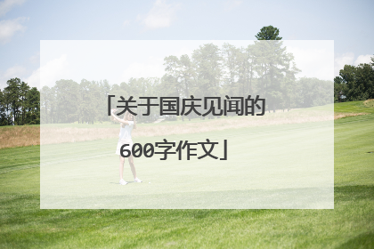 关于国庆见闻的600字作文