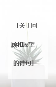 关于回顾和展望的诗句