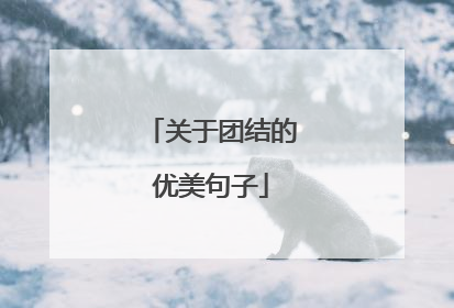 关于团结的优美句子