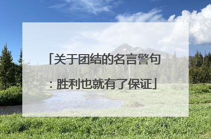 关于团结的名言警句：胜利也就有了保证
