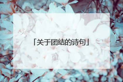 关于团结的诗句