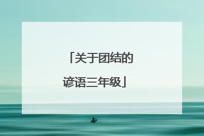 关于团结的谚语三年级