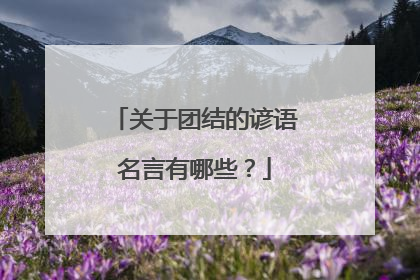 关于团结的谚语名言有哪些？