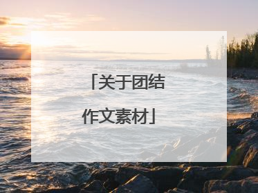 关于团结作文素材