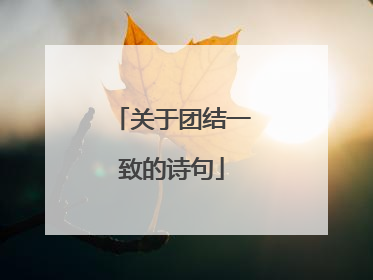 关于团结一致的诗句