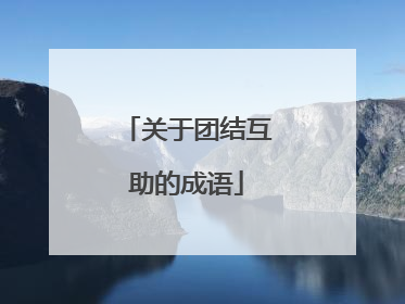 关于团结互助的成语