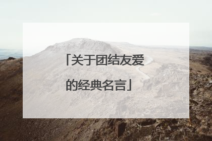 关于团结友爱的经典名言