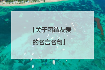 关于团结友爱的名言名句