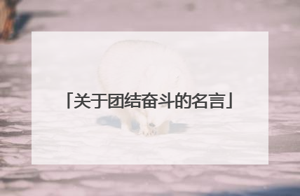 关于团结奋斗的名言