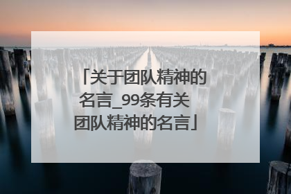 关于团队精神的名言_99条有关团队精神的名言
