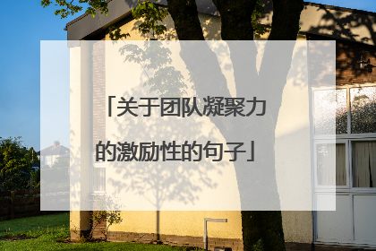 关于团队凝聚力的激励性的句子