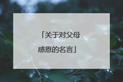关于对父母感恩的名言