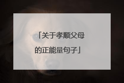 关于孝顺父母的正能量句子