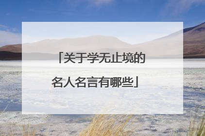 关于学无止境的名人名言有哪些